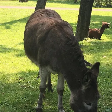 Parco Delle Sequoie Nocleg ze śniadaniem *